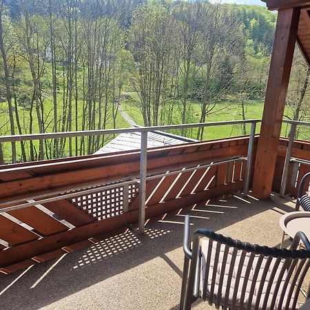 Haus Daut Fewo Mit Hallenbad Willingen  Kültér fotó